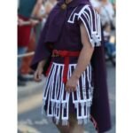 Roman Subarmalis Cotton Fabric Purple Color For Roman Soldiers Military Black Friday Sale